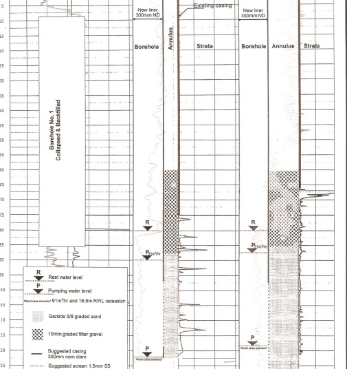 Borehole Geophysical Logging