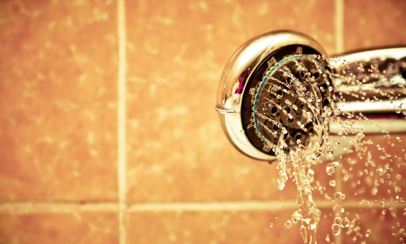 Legionella in Water Supplies