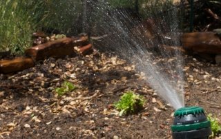 Garden Irrigtation Borehole