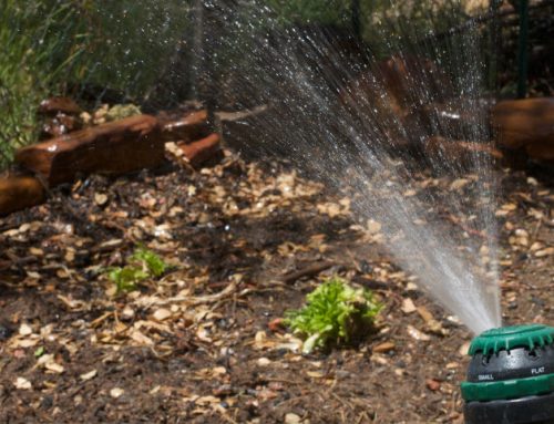 Using Boreholes for Garden Irrigation Systems