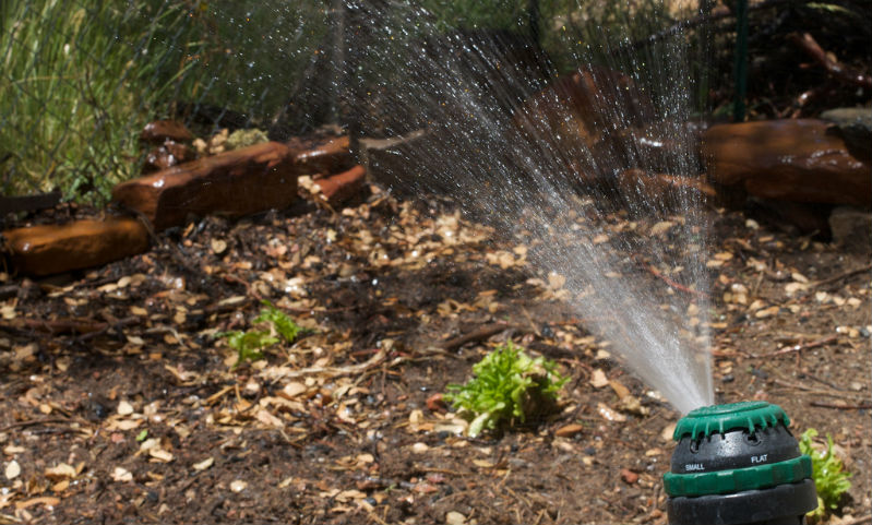 Garden Irrigtation Borehole