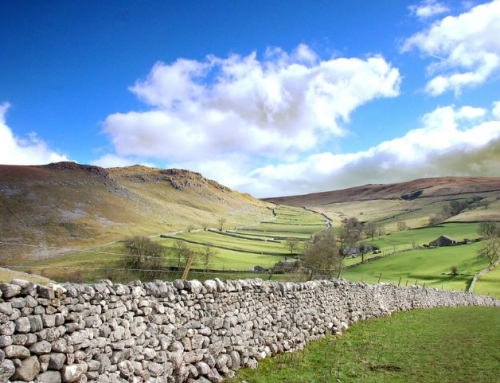 Dales Water Services on The Dales