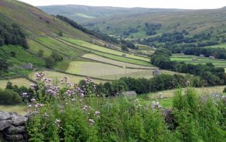 Farming in Yorkshire