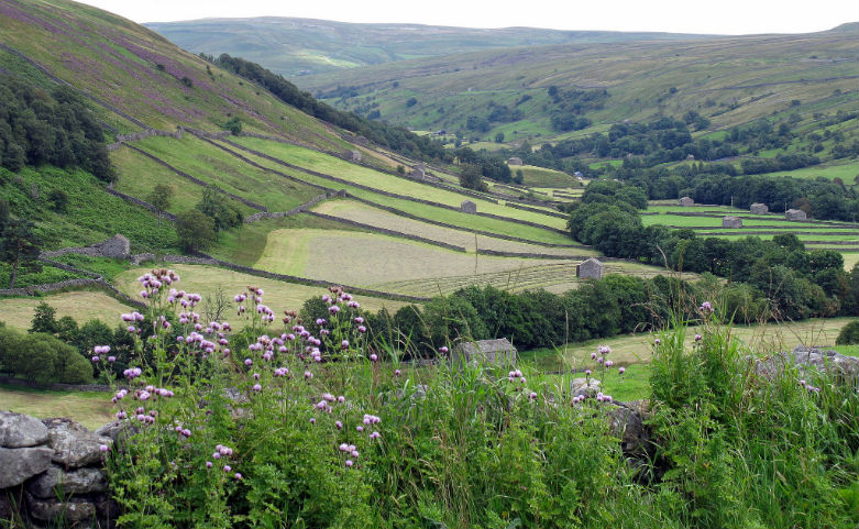 Farming in Yorkshire