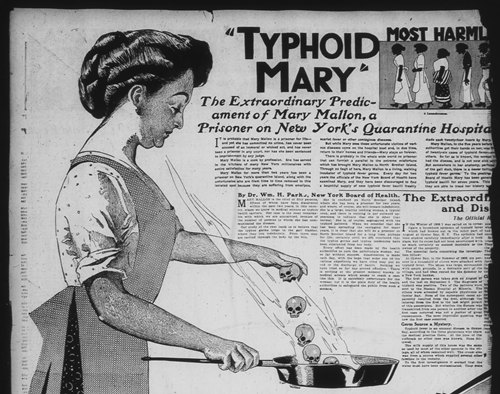 Typhoid Mary